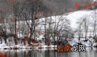 柳河为啥叫柳河 柳河的由来