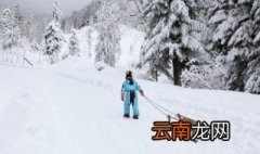 北京冬奥会场馆有哪些 北京冬奥会场馆介绍