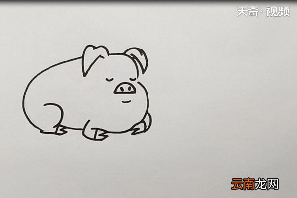 猪简笔画