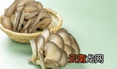 蘑菇上长白毛还能吃吗 蘑菇上长白毛还可以吃吗