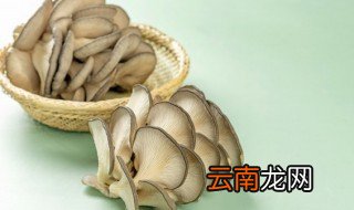 蘑菇上长白毛还能吃吗 蘑菇上长白毛还可以吃吗
