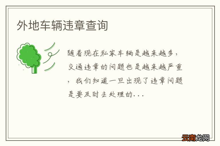 外地车辆违章查询