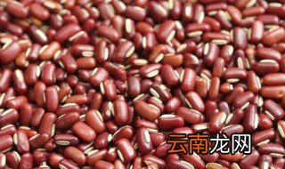 红豆跟赤小豆的区别 赤小豆和红豆是一样的吗