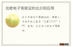 合肥电子驾驶证的出示和应用