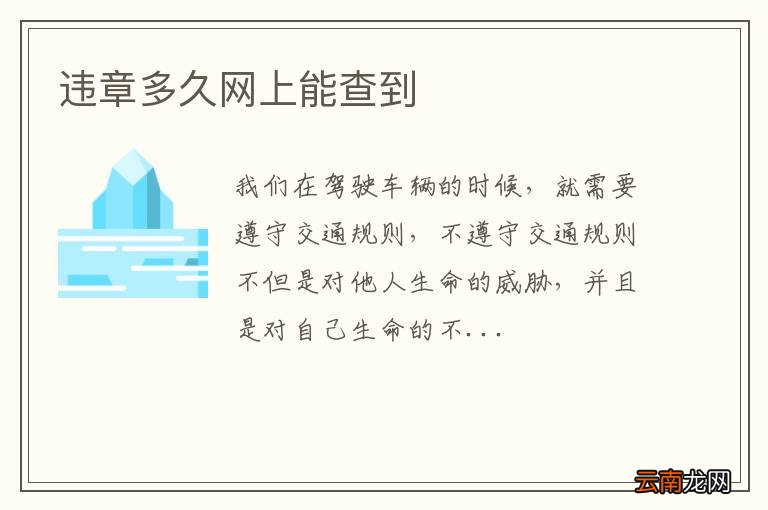 违章多久网上能查到