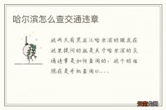 哈尔滨怎么查交通违章