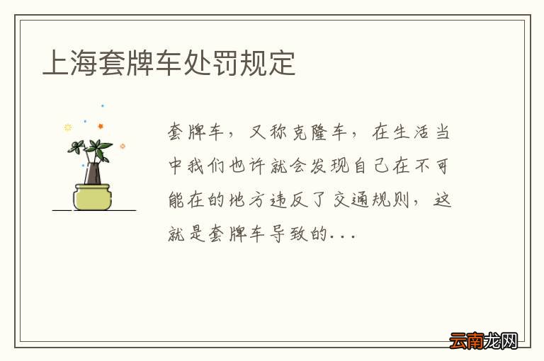 上海套牌车处罚规定