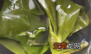 海带泡发方法 这种方法方便快捷