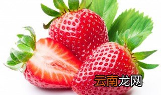 草莓上午浇水还是下午浇水 中午能否给草莓浇水