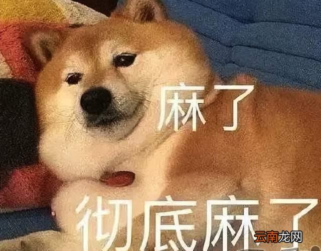 万元破烂鞋、不防水雨伞，奢侈品疯狂收割穷人！