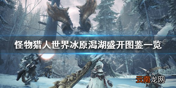 怪物猎人世界冰原潟湖盛开属性怎么样 潟湖盛开图鉴一览_网