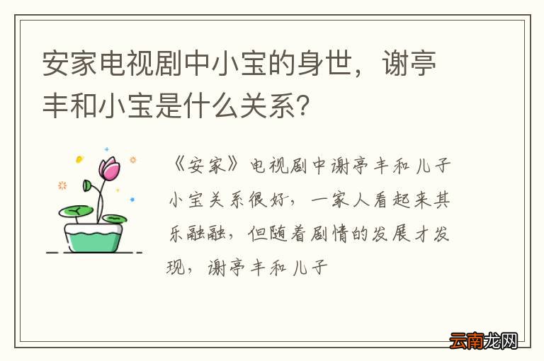 安家电视剧中小宝的身世，谢亭丰和小宝是什么关系？