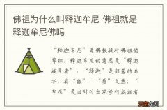 佛祖为什么叫释迦牟尼 佛祖就是释迦牟尼佛吗