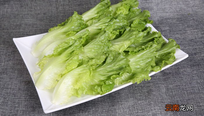 野菜青青菜的吃法 野菜青青菜吃法