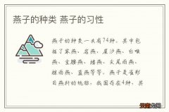 燕子的种类 燕子的习性