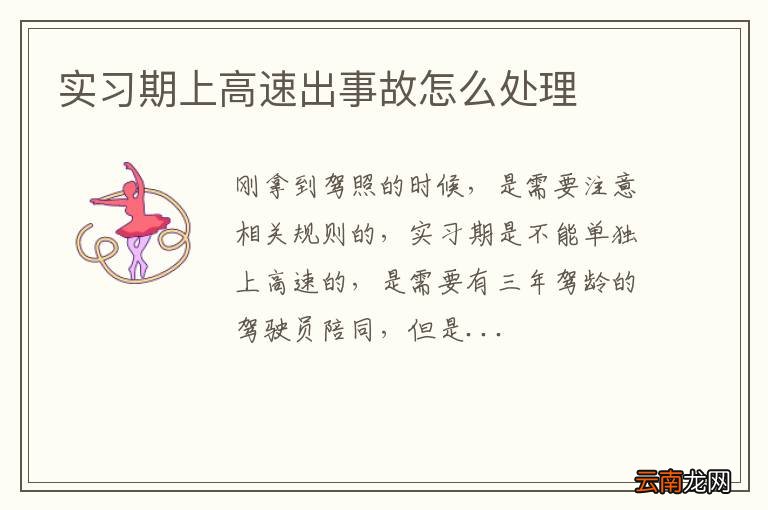 实习期上高速出事故怎么处理