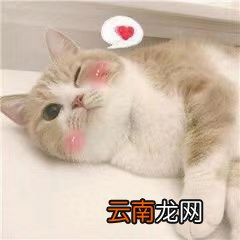 是时候穿裙子了！今夏这4款绝美半裙，爆显气质！