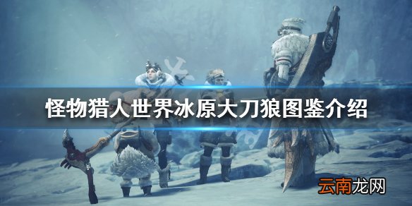 怪物猎人世界冰原大刀狼属性怎么样 大刀狼图鉴介绍_网