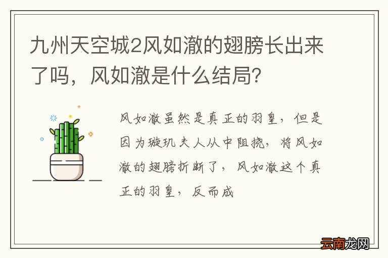 九州天空城2风如澈的翅膀长出来了吗，风如澈是什么结局？