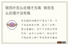 银杏叶怎么处理才无毒银杏怎么处理才没有毒