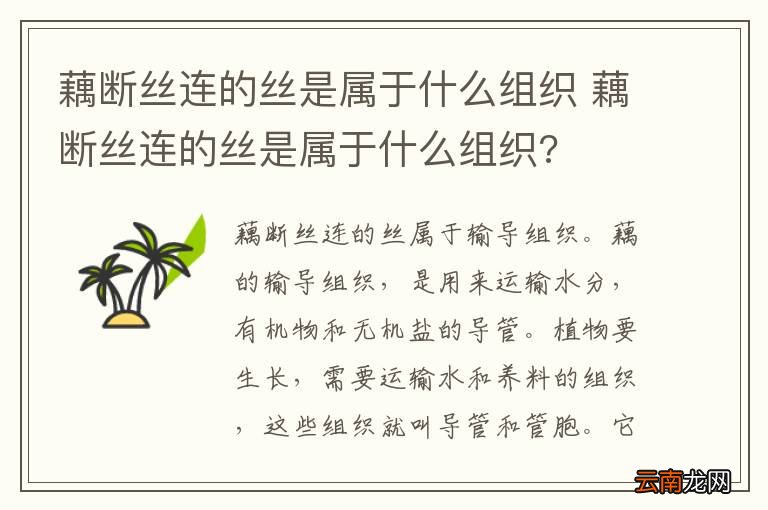 藕断丝连的丝是属于什么组织 藕断丝连的丝是属于什么组织?