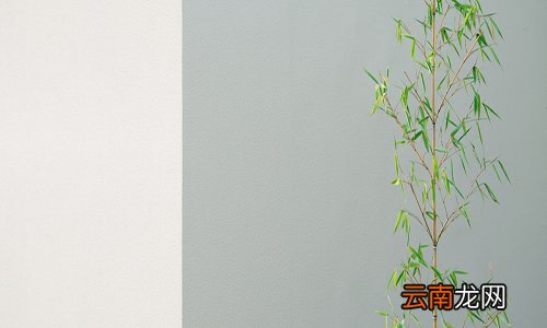装修选啥样的乳胶漆好 装修用什么乳胶漆好