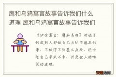 鹰和乌鸦寓言故事告诉我们什么道理 鹰和乌鸦寓言故事告诉我们的道理