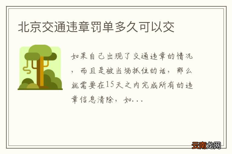 北京交通违章罚单多久可以交