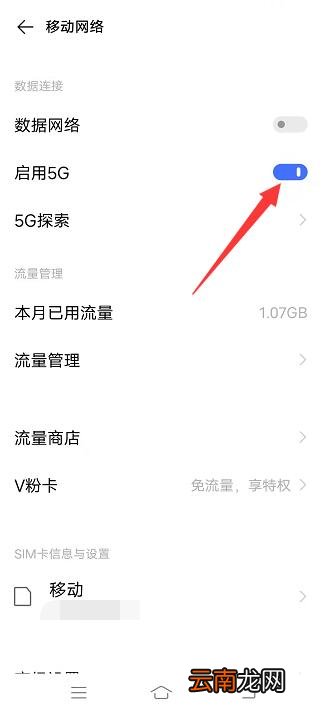 如何开启5g网络