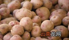 立夏成熟的土豆什么时候种 立夏成熟的土豆什么时候种介绍