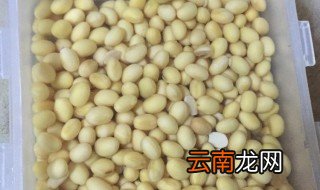 做豆腐一斤黄豆多少水 请问做豆腐一斤黄豆放多少斤水呀?