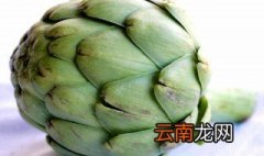 洋蓟怎么做比较好吃 洋蓟的做法