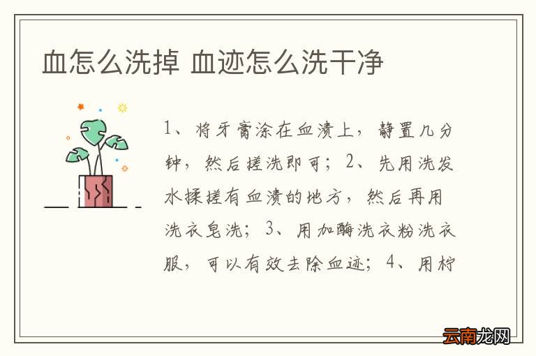 血怎么洗掉 血迹怎么洗干净