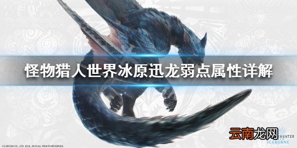 怪物猎人世界冰原迅龙弱点属性详解 迅龙弱什么属性_网