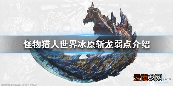 怪物猎人世界冰原斩龙弱什么属性 斩龙弱点介绍_网