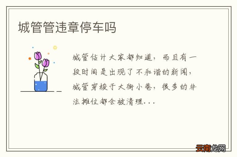 城管管违章停车吗