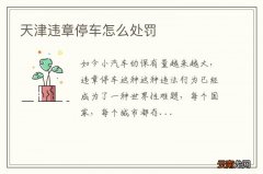 天津违章停车怎么处罚