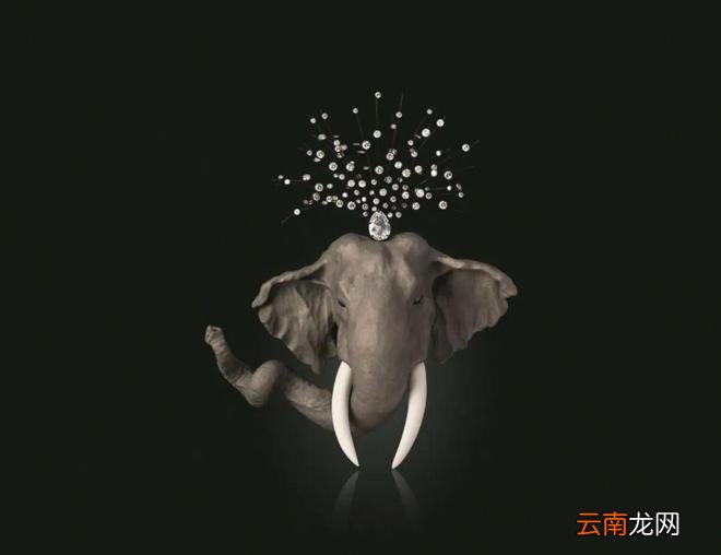 晋级 TOP 珠宝藏家的机会来啦！12 件最神秘的珠宝大师 JAR 作品即将登场！