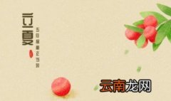 立夏可以种植冰菜吗 立夏能种植冰菜吗