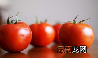 刚立夏适合种什么菜 刚立夏适合种啥菜