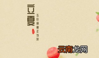 立夏蛋的文化 立夏蛋的习俗由来