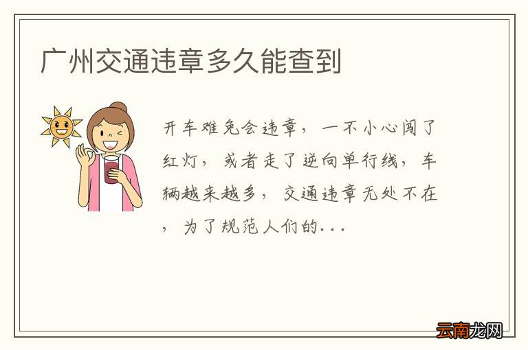 广州交通违章多久能查到