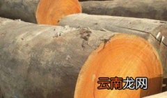 如何防止木头发霉，木头容易发霉怎么去除
