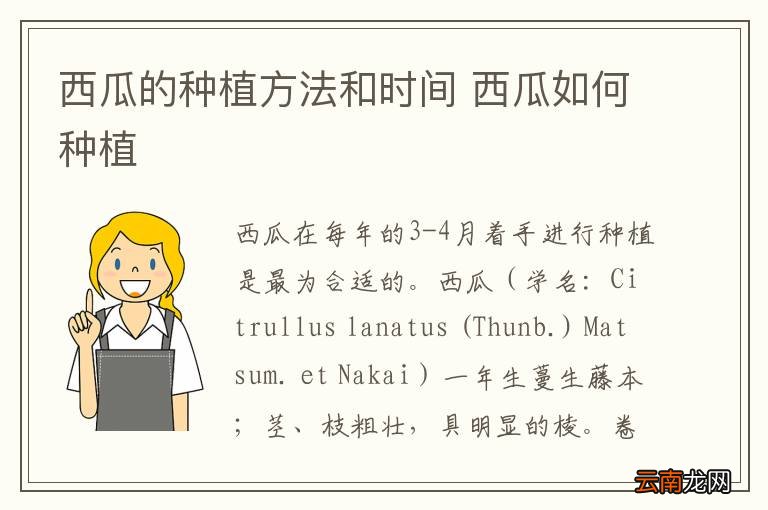 西瓜的种植方法和时间 西瓜如何种植