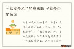 民营就是私企的意思吗 民营是否是私企