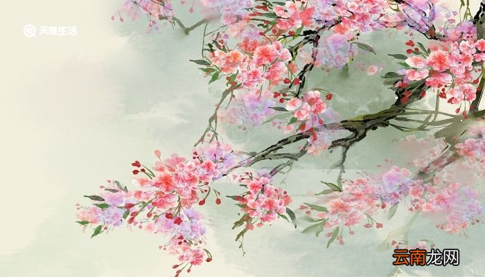 梅花书屋文言文翻译 梅花书屋的译文
