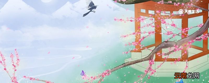 梅花书屋文言文翻译 梅花书屋的译文
