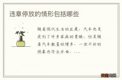 违章停放的情形包括哪些