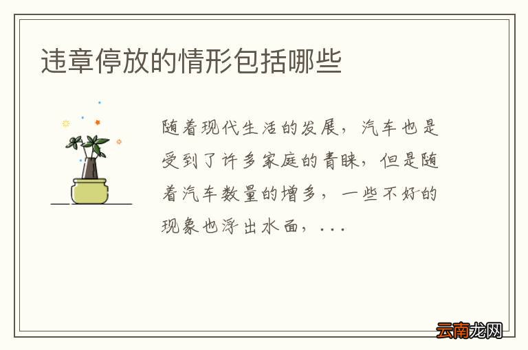 违章停放的情形包括哪些