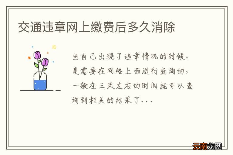 交通违章网上缴费后多久消除